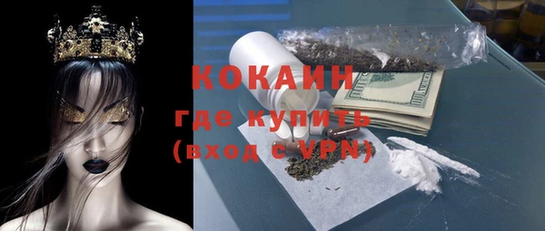 гашик Осинники