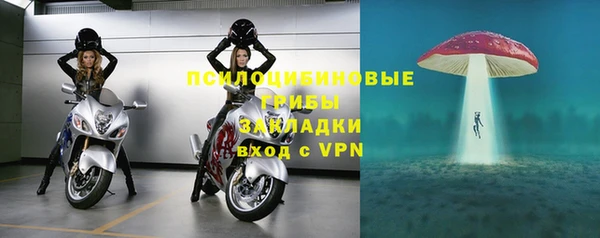 Альфа ПВП Няндома