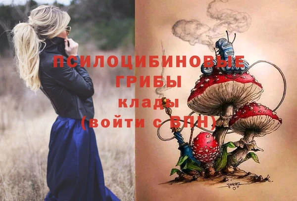 Альфа ПВП Няндома
