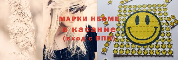 Альфа ПВП Няндома
