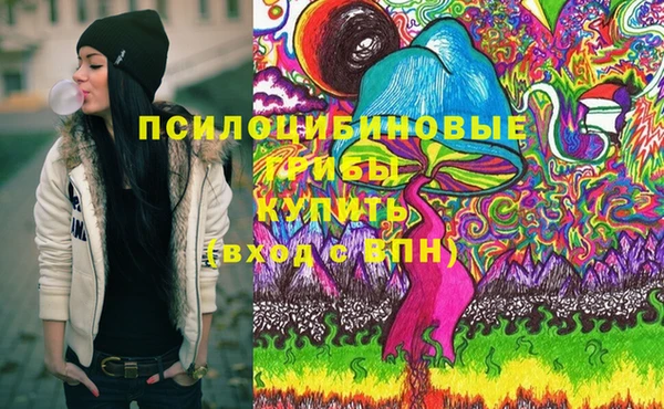 Альфа ПВП Няндома
