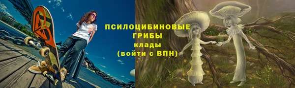 гашик Осинники