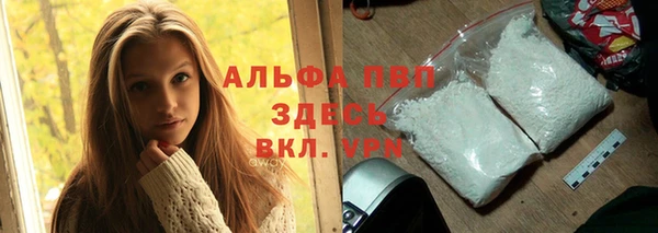 гашик Осинники