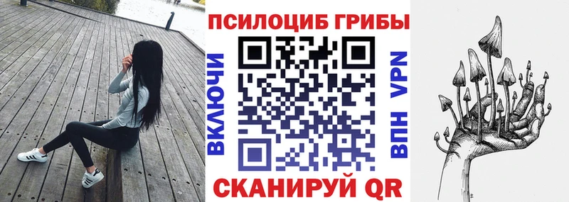 Псилоцибиновые грибы GOLDEN TEACHER  ссылка на мегу маркетплейс  Кашин 